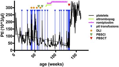 The Phenotype and Treatment of WIP Deficiency: Literature Synopsis and Review of a Patient With Pre-transplant Serial Donor Lymphocyte Infusions to Eliminate CMV